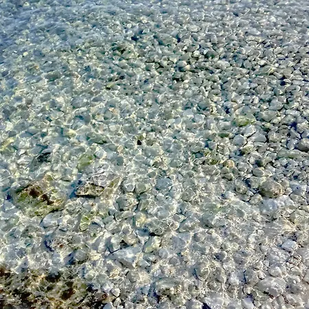 民宿 Adriatic Pearl *